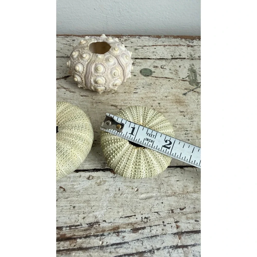 Unbranded set natural